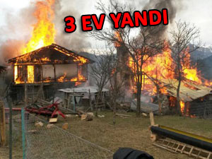 ARTVİN'DEKİ YANGINDA 3 EV BİRDEN YANDI!