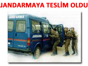 İKNA EDİLDİ; JANDARMAYA TESLİM OLDU