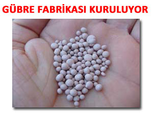 Rize'de organik gübre fabrikası kuracaklar