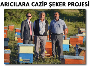 Karadenizli arıcılara cazip şeker projesi