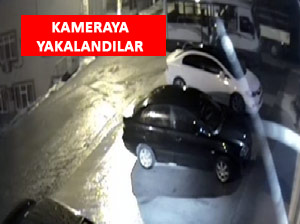 RİZE’DE  MİNİBÜS FARELERİ KAMERAYA TAKILDI