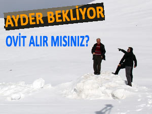 Ayder unutuldu şimdi de Ovit servis ediliyor!