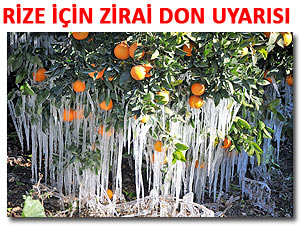 RİZE'DE ÜRETİCİLERE ZİRAİ DON UYARISI