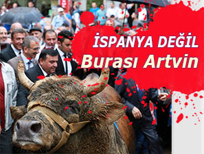 İSPANYA DEĞİL ARTVİN