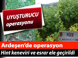 RİZE'DE UYUŞTURUCU OPERASYONU