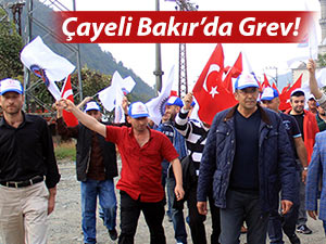 ÇAYELİ BAKIR MADENİNDE GREVE GİDİLİYOR