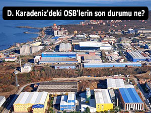 D. Karadeniz'deki OSB'lerin son durumu ne?