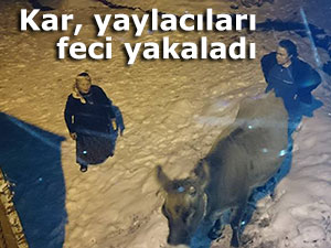 KAR, RİZE'DE YAYLACILARI FECİ YAKALADI