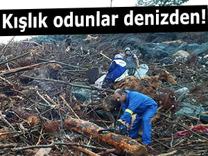 KIŞLIK ODUNLARINI DENİZDEN ÇIKARDILAR