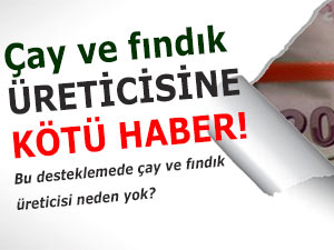 Bu desteklemede çay ve fındık üreticisi neden yok?