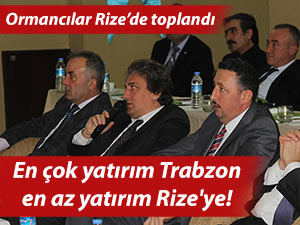 En çok yatırım Trabzon, en az yatırım Rize'ye!