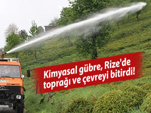 Kimyasal gübre, Rize'de toprağı ve çevreyi bitirdi!