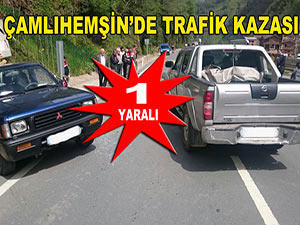 Çamlıhemşin'de trafik kazası: 1 yaralı