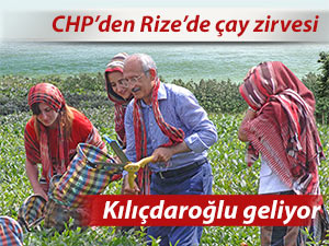 Rize CHP çayın duayenlerini toparlıyor