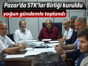 Pazar'da STK'lar Birliği, genel sıkıntılar için toplandı