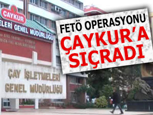 FETÖ operasyonları ÇAYKUR'a sıçradı!