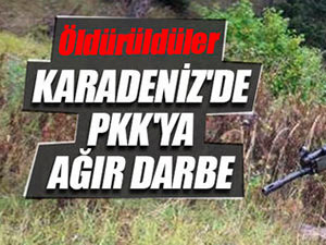 PKK/KCK’nın Karadeniz Açılım Grubu'na ağır darbe