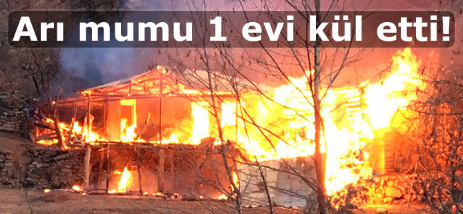 Arı mumu 1 evi kül etti!