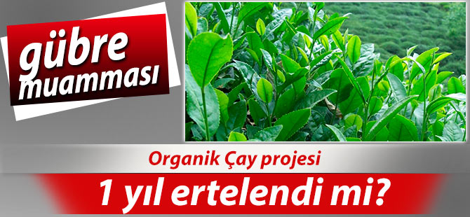 Organik Çay tepkilerine boyun mu eğildi?