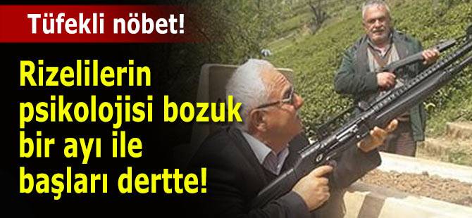 Rizelilerin psikolojisi bozuk bir ayı ile başları dertte!