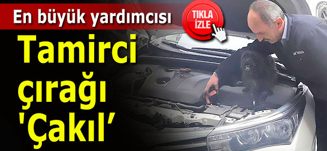 Tamirci çırağı 'Çakıl"