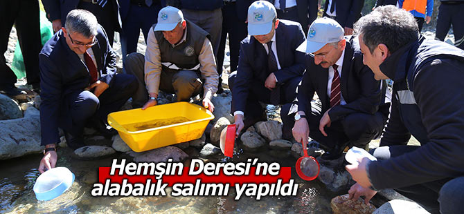 Hemşin Deresi’ne alabalık salımı yapıldı