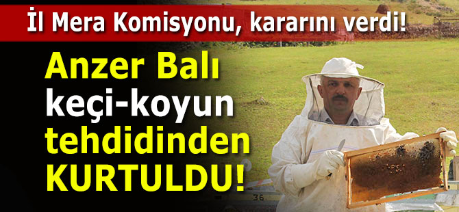 Anzer Balı; keçi ve koyun tehdidinden kurtuldu!