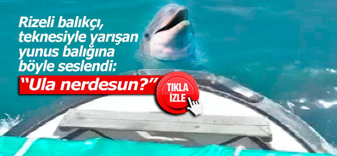 Balıkçı teknesiyle yarışan yunus balığı amatör kamerada