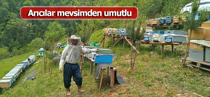 Arıcılar mevsimden umutlu