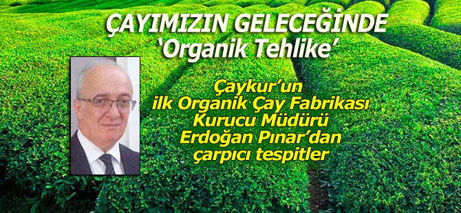 ÇAYIMIZIN GELECEĞİNDE ‘Organik Tehlike’