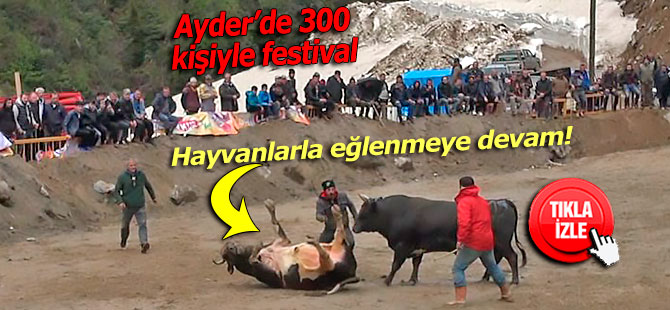 Ayder'de 300 kişi ile festival düzenlendi!