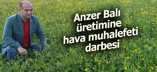 Anzer Balı üretimine hava darbesi