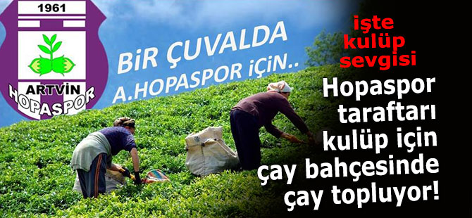 Hopaspor çay üreticilerinin desteği ile yükseliyor