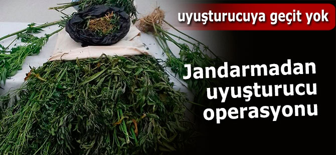 JANDARMADAN UYUŞTURUCU OPERASYONU