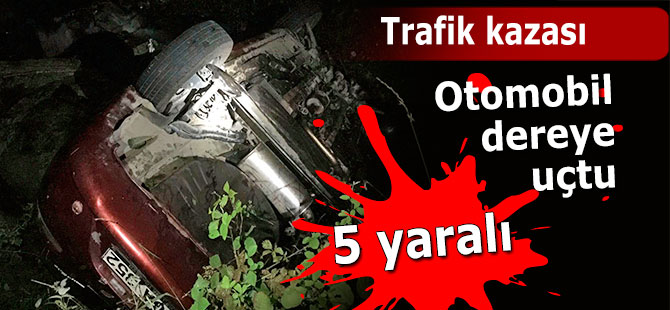 Rize'de otomobil dereye uçtu: 5 yaralı