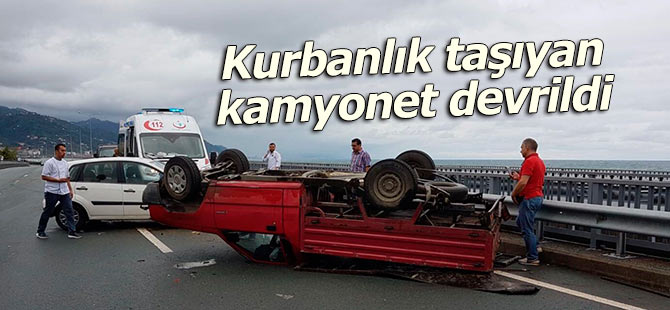 Çayeli'nde trafik kazası: 2 yaralı