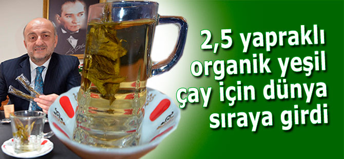 2,5 yapraklı organik yeşil çay için dünya sıraya girdi