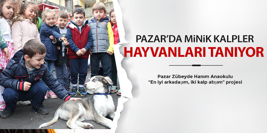 Pazar'da minik kalpler hayvanları tanıyor