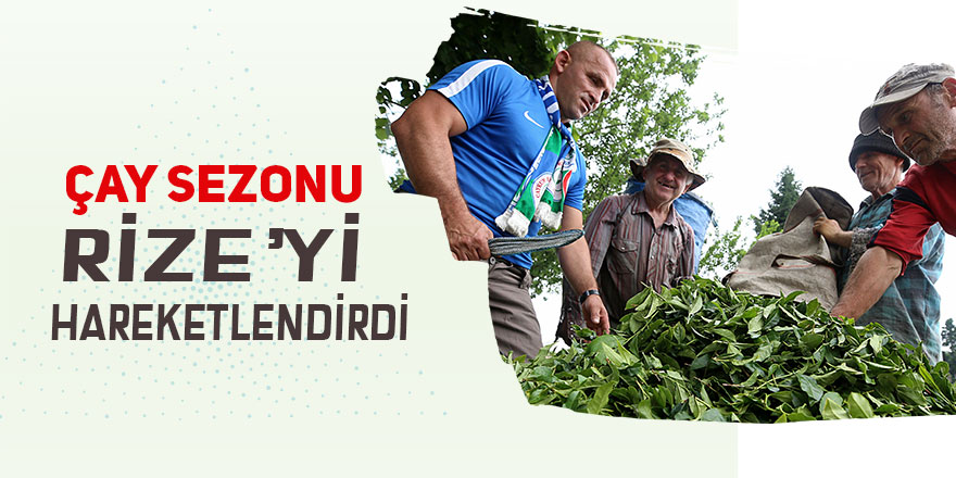 Rize çay sezonunda hareketlendi