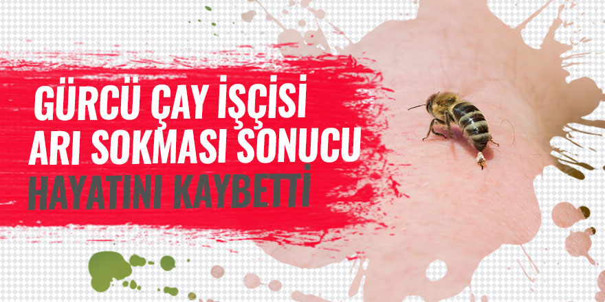 Gürcü çay işçisi arı sokması sonucu öldü