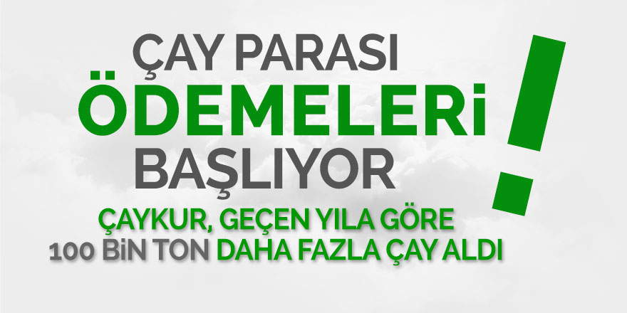 ÇAYKUR 100 bin ton fazla çay aldı. Para ödemesi de başlıyor!