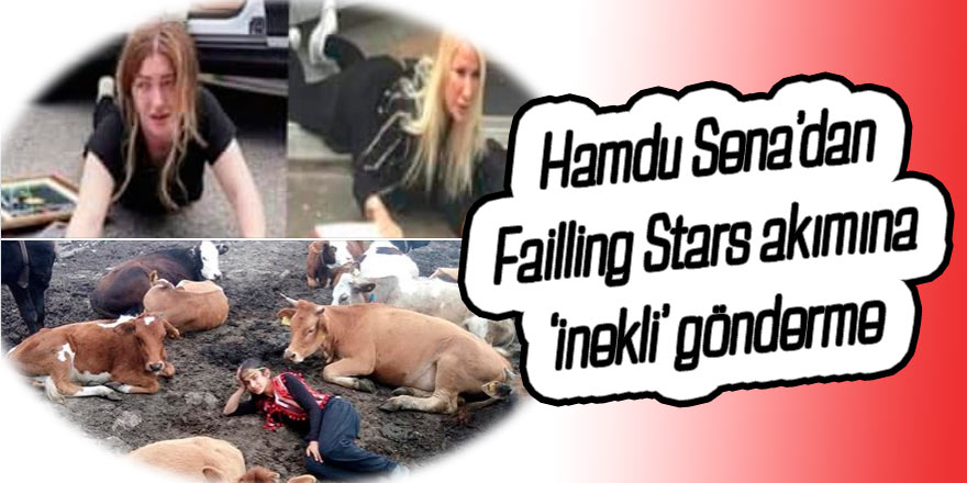 Hamdu Sena’dan Failling Stars akımına ‘inekli’ gönderme