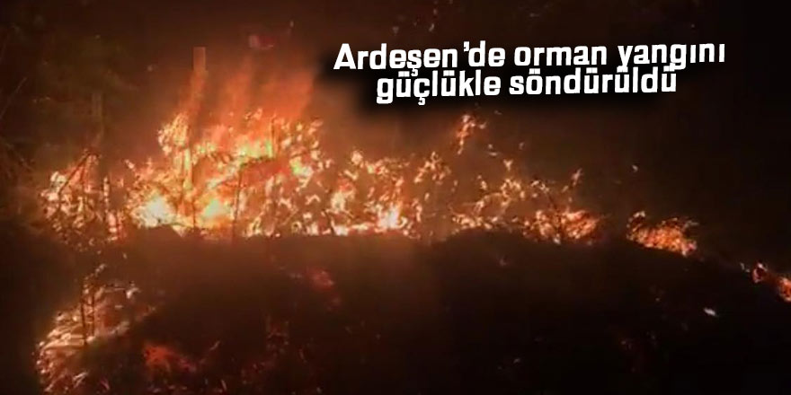 Ardeşen'de orman yangını güçlükle söndürüldü