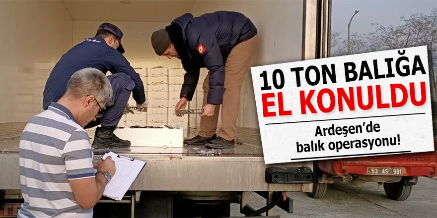 Rize'de 10 ton küçük boy balığa el konuldu