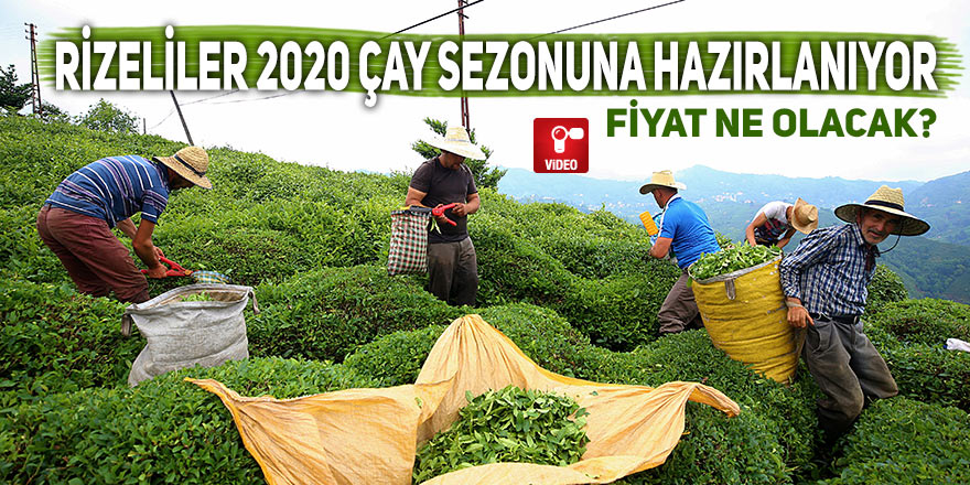 Rizeliler 2020 çay sezonuna hazırlanıyor
