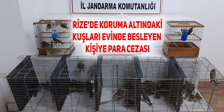 Rize'de koruma altındaki kuşları evinde besleyen kişiye 47,3 bin lira ceza