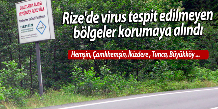 Rize'de virus tespit edilmeyen bölgeler korumaya alındı