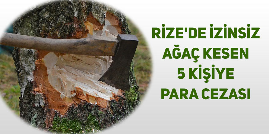 Rize'de izinsiz ağaç kesen 5 kişiye para cezası