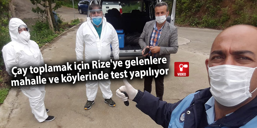 Çay toplamak için Rize'ye gelenlere mahalle ve köylerinde test yapılıyor