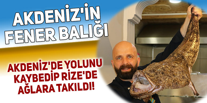 Akdeniz'de yolunu kaybedip Rize'de ağlara takıldı!